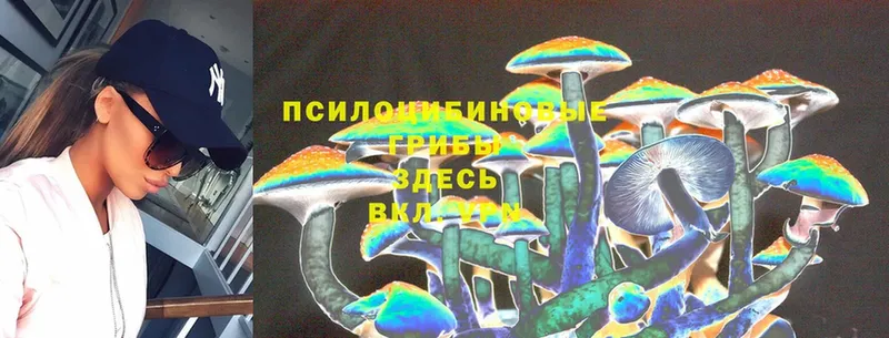 наркотики  Аткарск  Галлюциногенные грибы MAGIC MUSHROOMS 